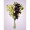 65792 orchidea kus