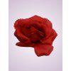 AR27010 ruža red
