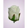 CE22032 ruža white