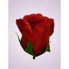 CE22032 ruža red