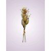 DY1 4984 farba 1