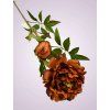 F19468 2 pivonia kus brown aut