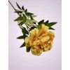 F19468 2 pivonia kus yellow aut