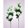 MP2366 dalia trs