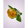FR000030 ruža s listom yellow