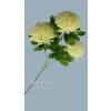 FU19105 chryzanema trs krém