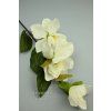 FX19315 magnolia cream
