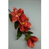 FX19315 magnolia red JPG