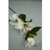 FX19315 magnolia white