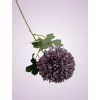 HM80680 chryzantéma lilac