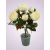 HS1201Q kytica pivonia cream aut