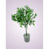 HS22362P kytica pvc zelena