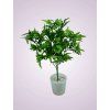H22366P kytica pvc green