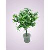 H22366P kytica pvc lt green