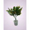 HS8318P kytica pvc oranzova