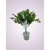 HS8318P kytica pvc zelena