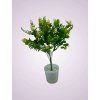 HS8318P kytica pvc zlta