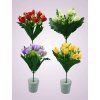 HS9273 kytica krokus MIX
