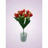 HS9273 kytica krokus cervena