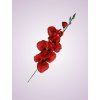 gladiola K268