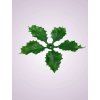 LV5025 mahonia pvc