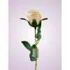 LY2424 ruza kus. peach tch