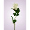 LY2424 ruza kus. dk cream