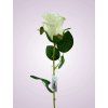 LY2424 ruza kus. cream tch