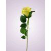 LY2424 ruza kus. yellow tch