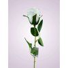 LY2424 ruza kus. white