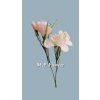 MEL068255 lt pink
