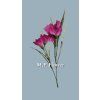 MEL068255 dk pink