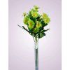 MP219100 margaretka kytica zelena