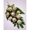 MP222069A kytica ruza mauve aut