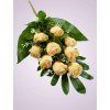 MP222069A kytica ruza zlta aut