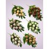 MP222069A kytica ruza 6 MIX