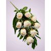 MP222069A kytica ruza aut