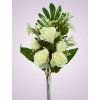 MP222116A kytica ruza kremova