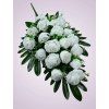MP223108 kytica ruza biela