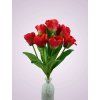 MP2301 9 kytica tulipan cervena