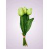 MP2304 7 kytica tulipan zelena