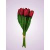MP2304 7 kytica tulipan cervena