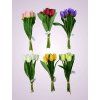 MP2304 7 kytica tulipan 1 1
