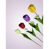 MP2314 1 tulipan kus MIX