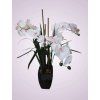 SCF POT 030016 orchidea v crepniku