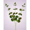 EUKALYPTUS SUN542 BURGUNDY GREEN