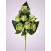 TRHS2209125G kytica ruza zelena