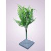 Y207187 paprad pvc