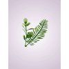 Y50601 zelen doplnok pvc