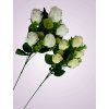 CE22084 5 ruza trs